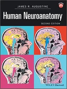 دانلود کتاب Human Neuroanatomy
