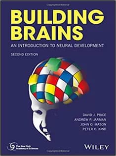 دانلود کتاب Building Brains: An Introduction to Neural Development