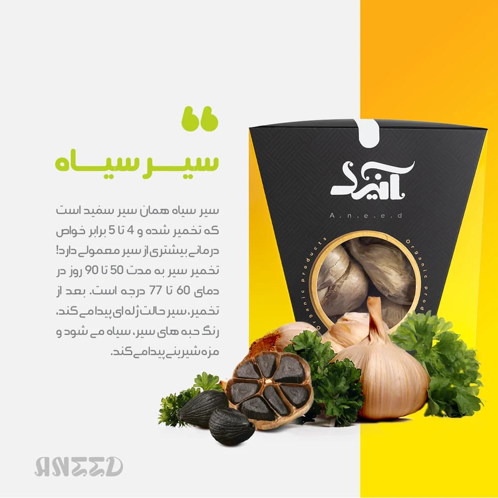سیر سیاه صادراتی آنید — تصویر ۲
