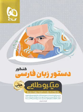 دستور زبان فارسی جامع کنکور مینی میکرو طلایی
