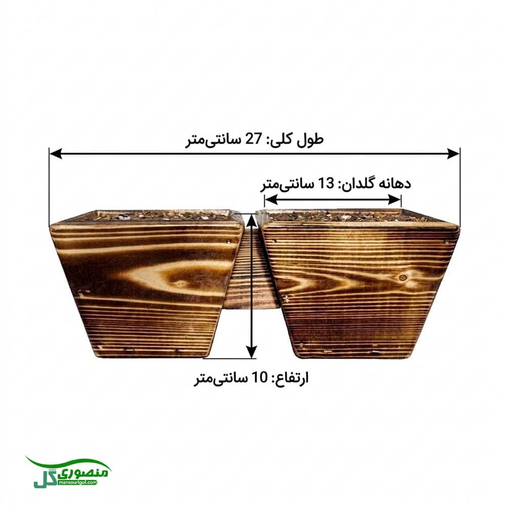 گل اکسالیس بنفش و تترافیلا آماده رشد | گلدان چوبی دوقلو سایز 13 — تصویر ۵