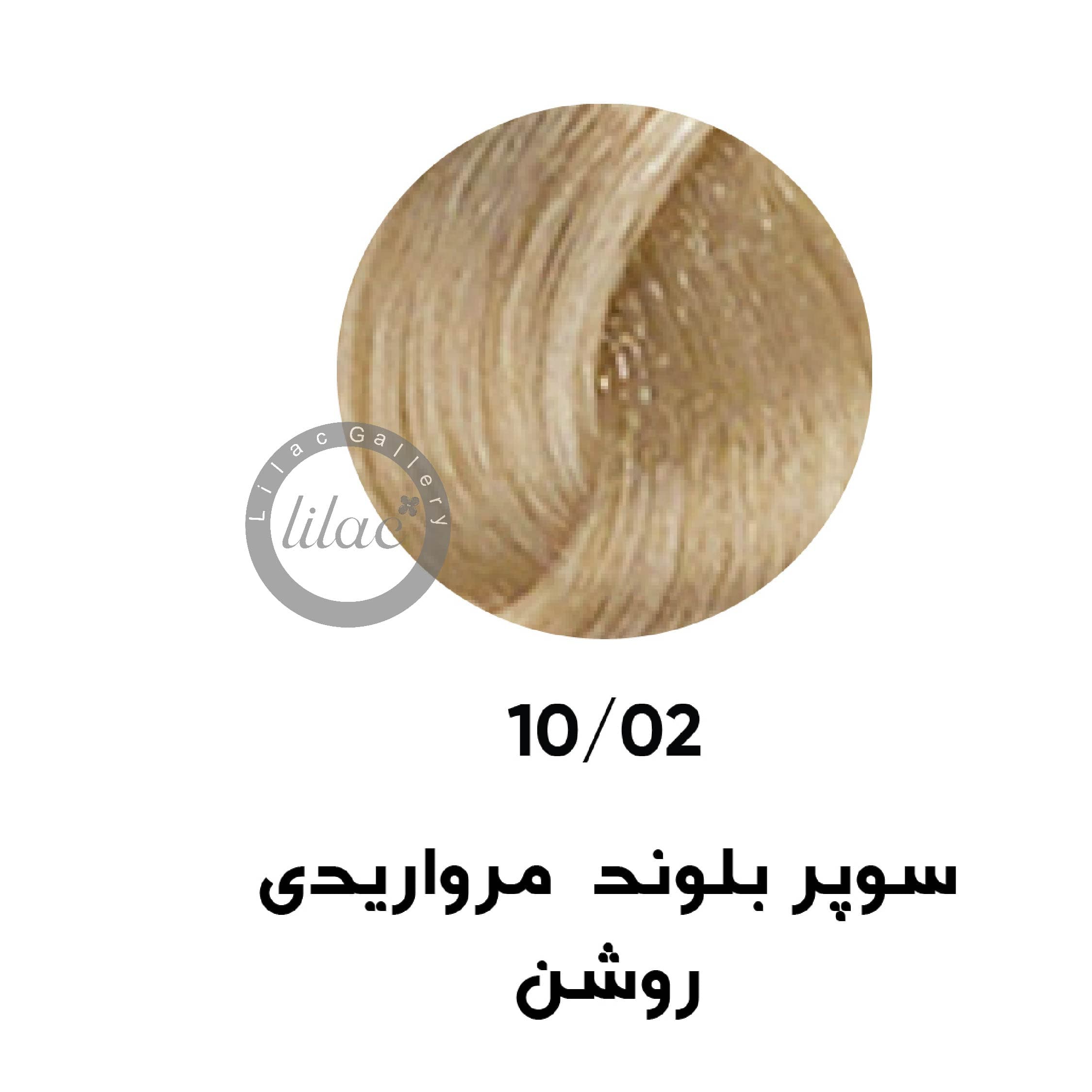 ارایبا erayba gamma رنگ مو شماره 10.02 سوپر بلوند مرواریدی روشن 100 میل