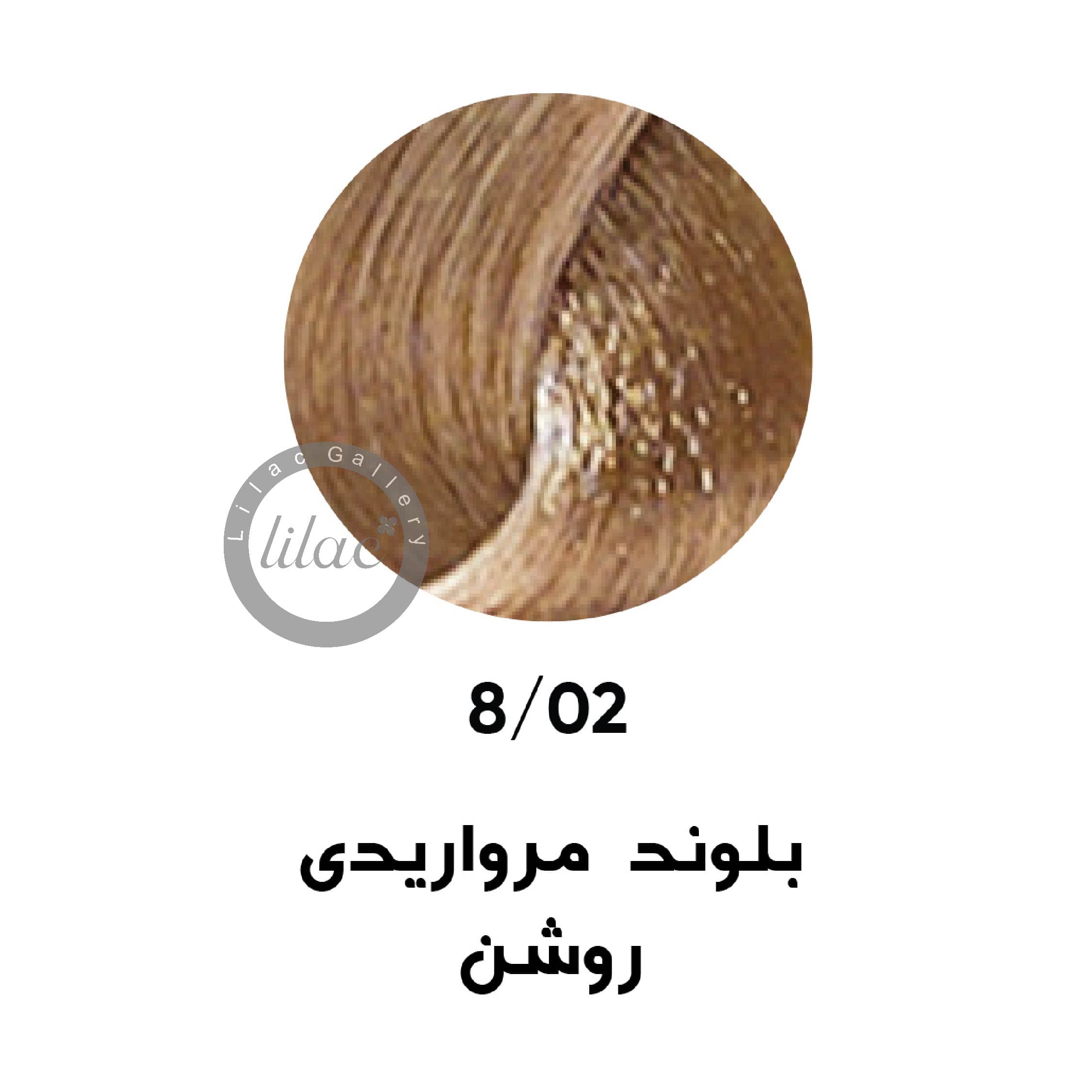ارایبا erayba gamma رنگ مو شماره 8.02 بلوند مرواریدی روشن 100 میل