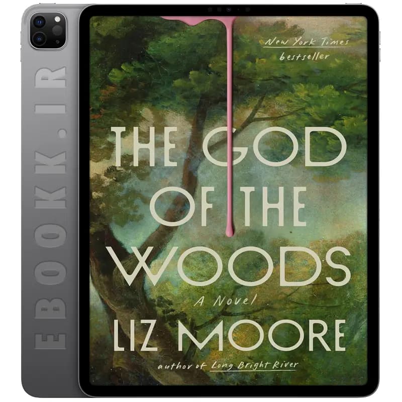 دانلود کتاب The God of the Woods 2024