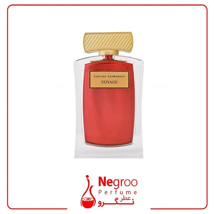 عطر ادکلن دیوید یورمن وویاج 75 میل David Yurman voyage اورجینال — تصویر ۲