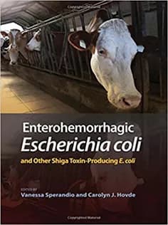 دانلود کتاب Enterohemorrhagic Escherichia Coli and Other Shiga Toxin-Producing E. Coli
