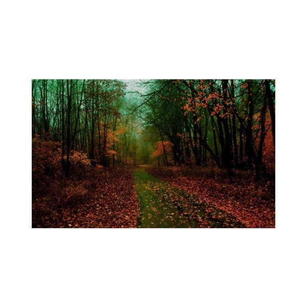 پادری طرح گل مدل پاییز زیبای جاده MF0047