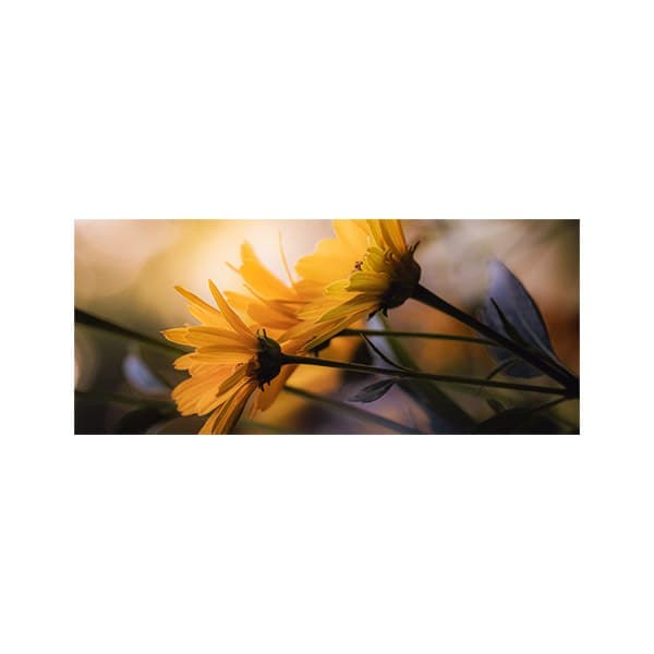 پادری طرح گل مدل دو شاخه گل زرد MF0038 — تصویر ۳