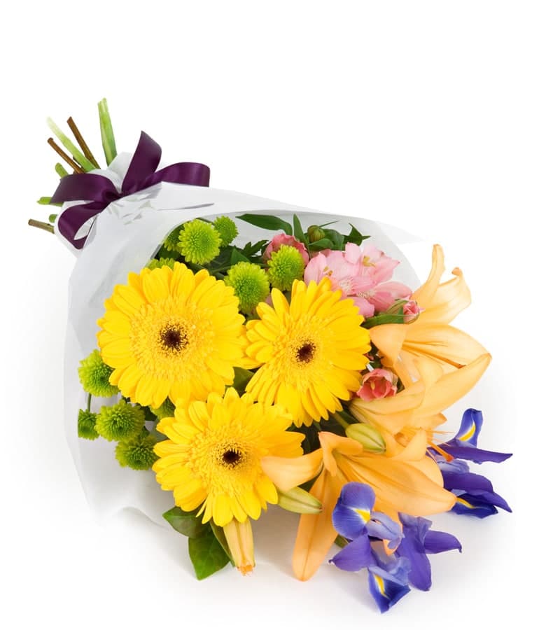 سارا (استرالیا)
