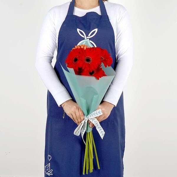 10 ژربرای سرخ III (مصر)