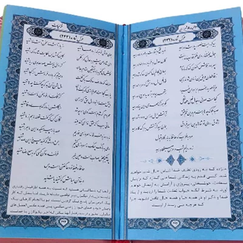 حافظ پالتویی داخل رنگی چرم با پلاک — تصویر ۶