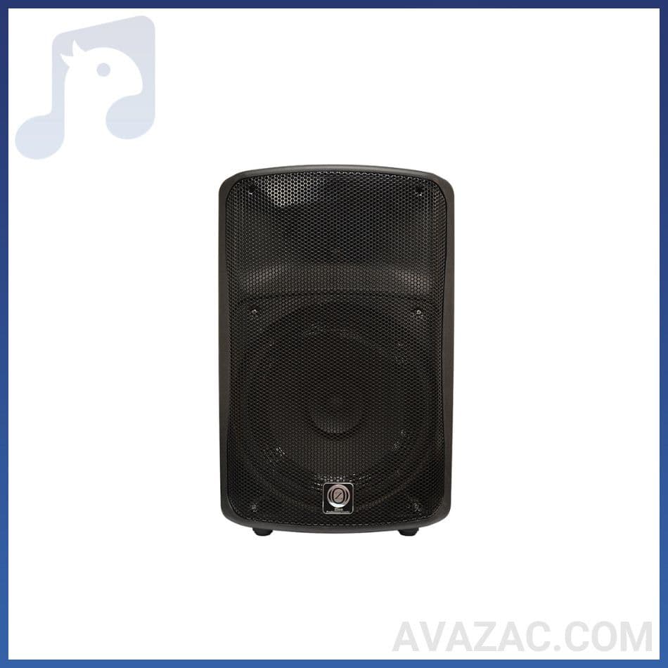 اکو همراه 12 اینچ بدون میکروفون زیکو ZICO 12800 PBUR