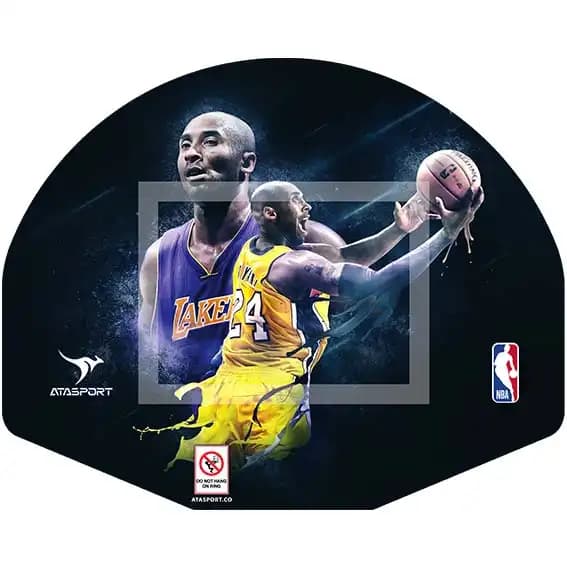 پایه بسکتبال دیواری Wall Hoop — تصویر ۲