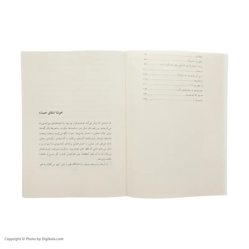 کتاب چند رویا مانده تا طلوع رنگین کمان اثر سید علی صالحی نشر چشمه — تصویر ۵