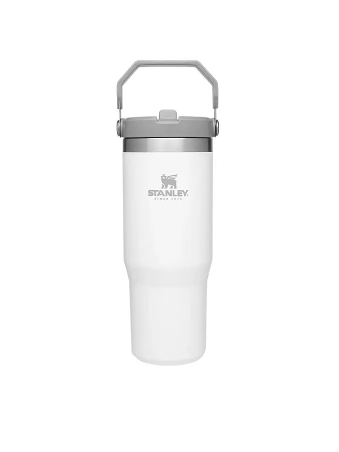 قمقمه استنلی نی دار مدل THE ICEFLOW FLIP STRAW TUMBLER — تصویر ۷