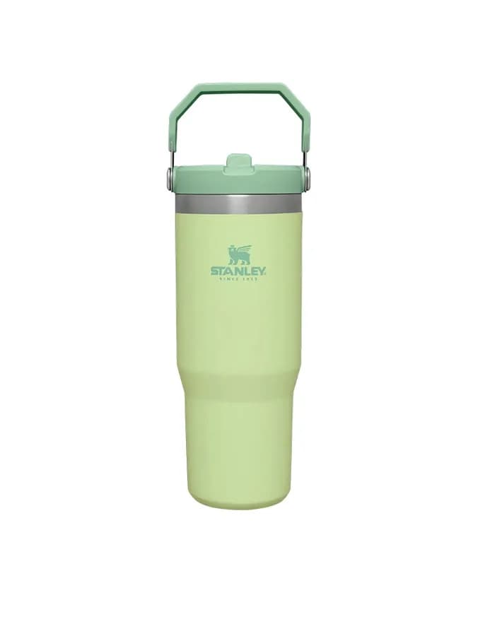 قمقمه استنلی نی دار مدل THE ICEFLOW FLIP STRAW TUMBLER — تصویر ۳