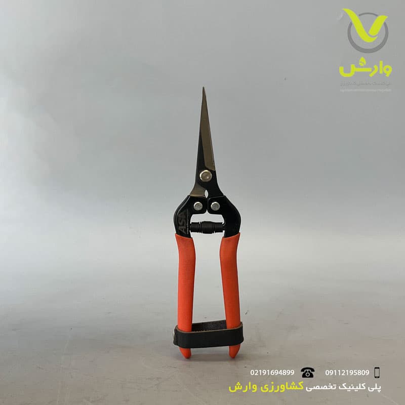 قیچی میوه چین آسا ASA سر صاف کد 294350 — تصویر ۲