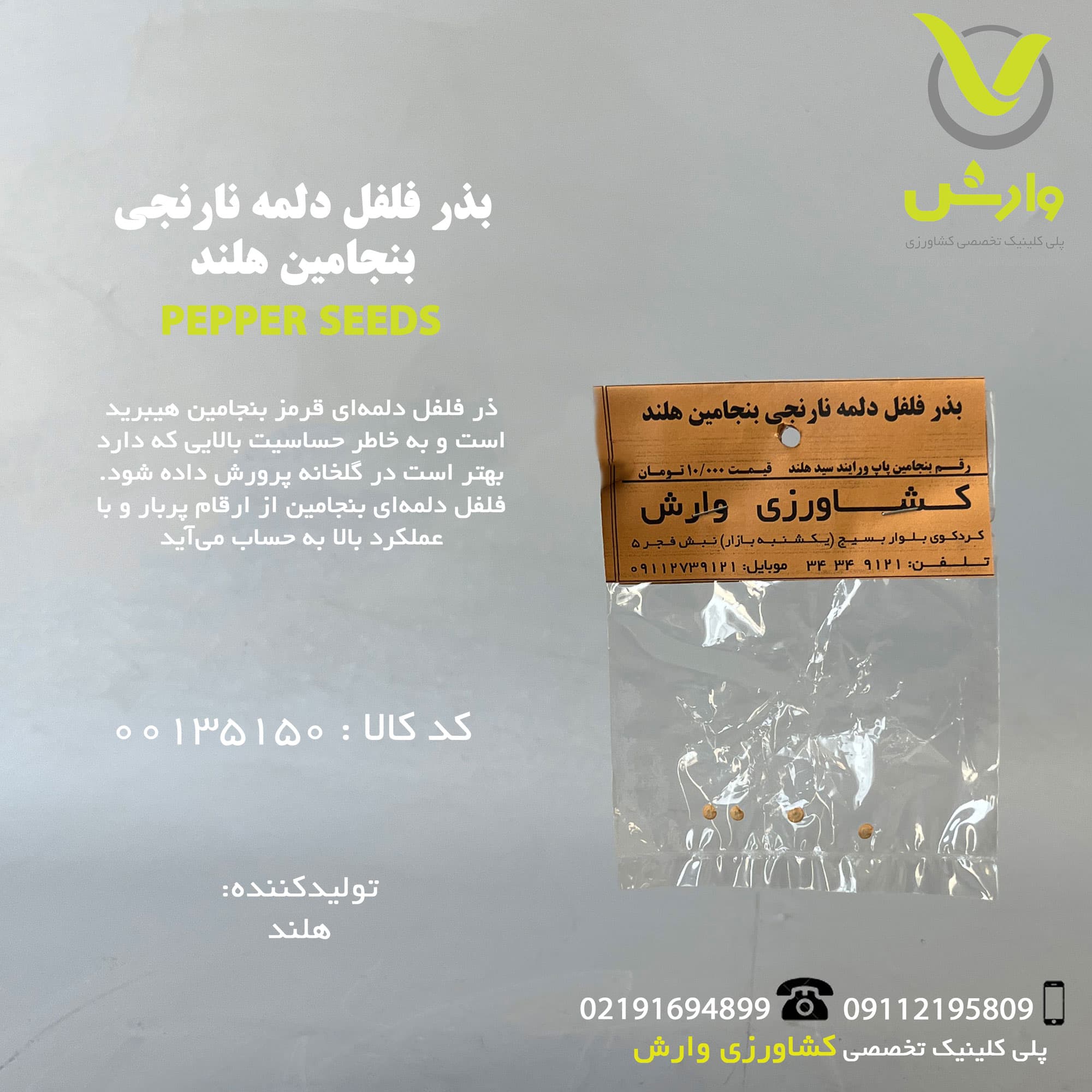 بذر فلفل دلمه نارنجی بنجامین هلند رقم بنجامین پاپ ورایند سید هلند