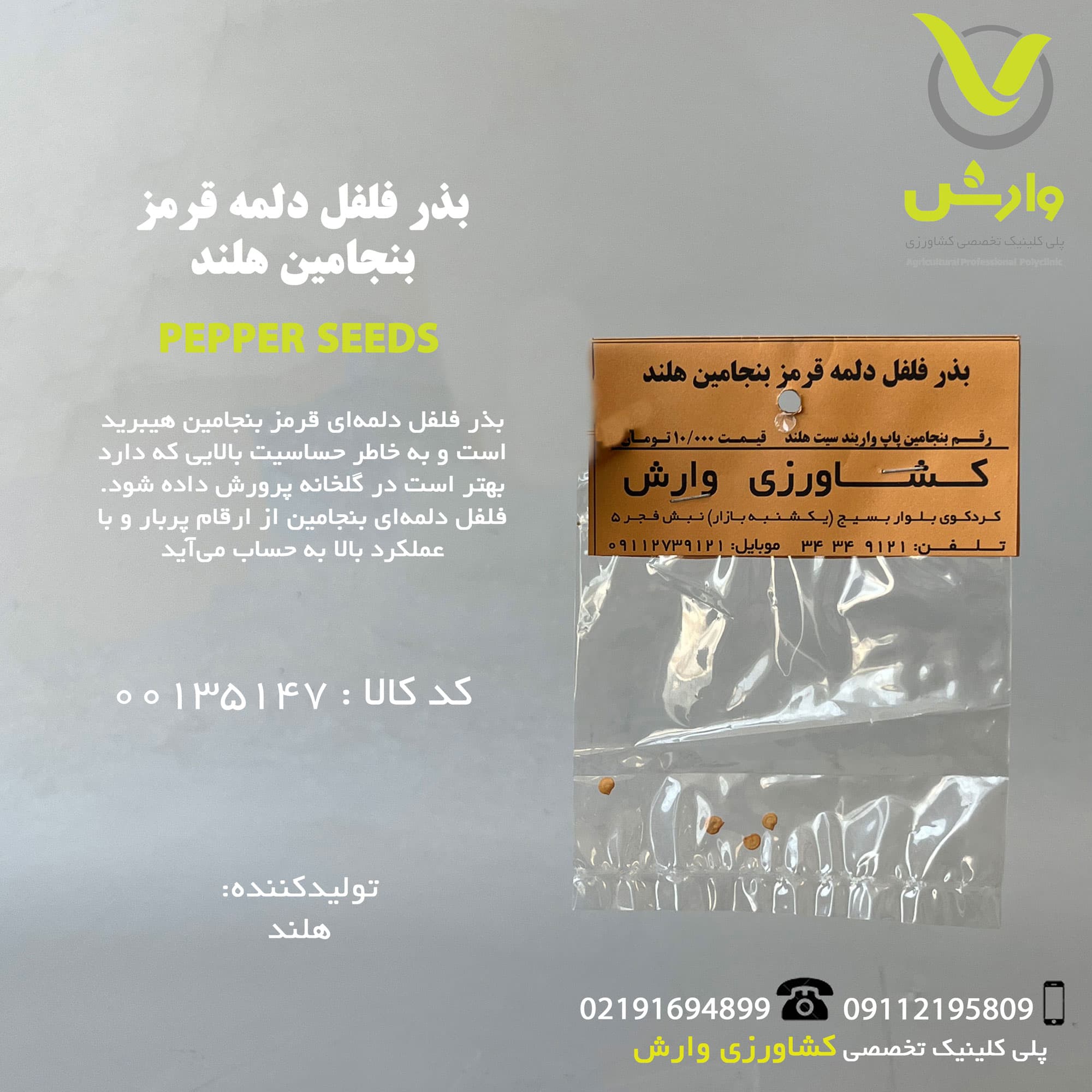 بذر فلفل دلمه قرمز بنجامین هلند رقم بنجامین پاپ واریند سید هلند