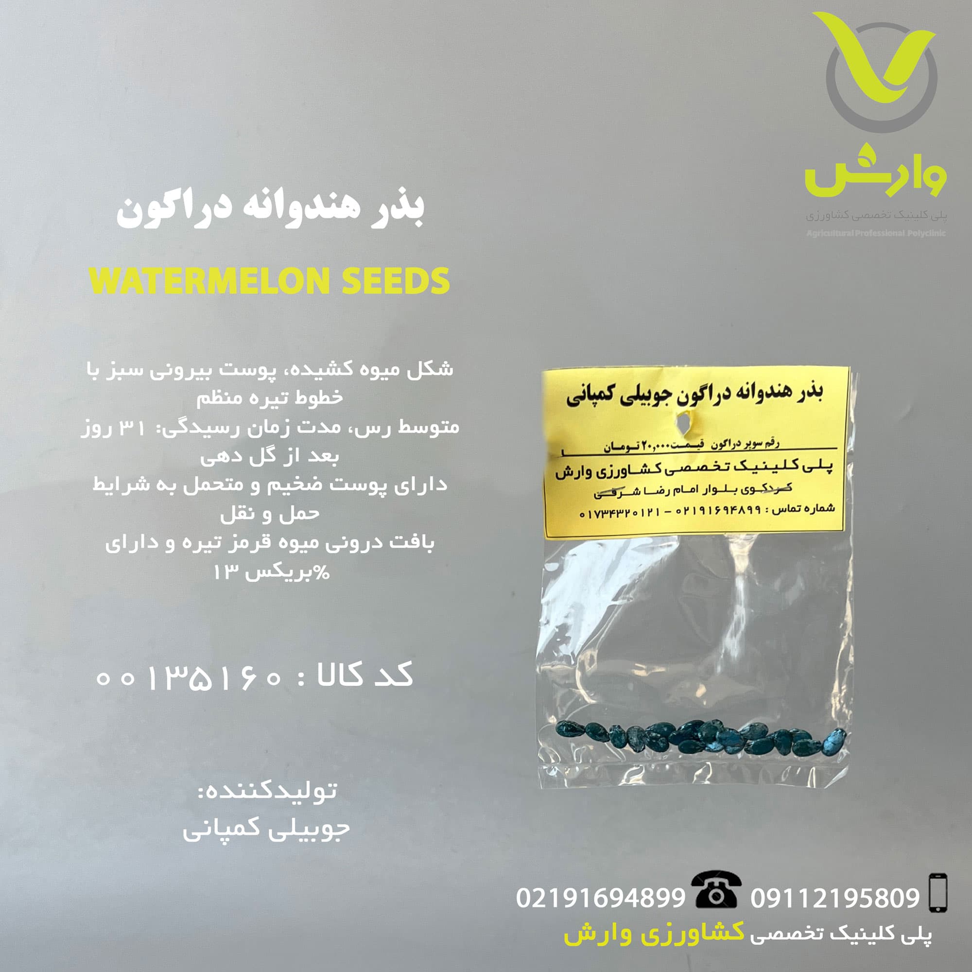 بذر هندوانه دراگون جوبیلی کمپانی رقم سوپر دراگون
