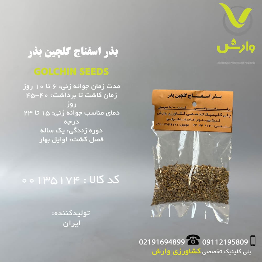بذر اسفناج گلچین بذر رقم ایرانی