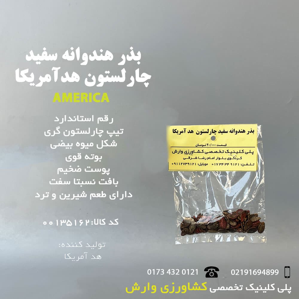بذر هندوانه سفید چارلستون هد آمریکا