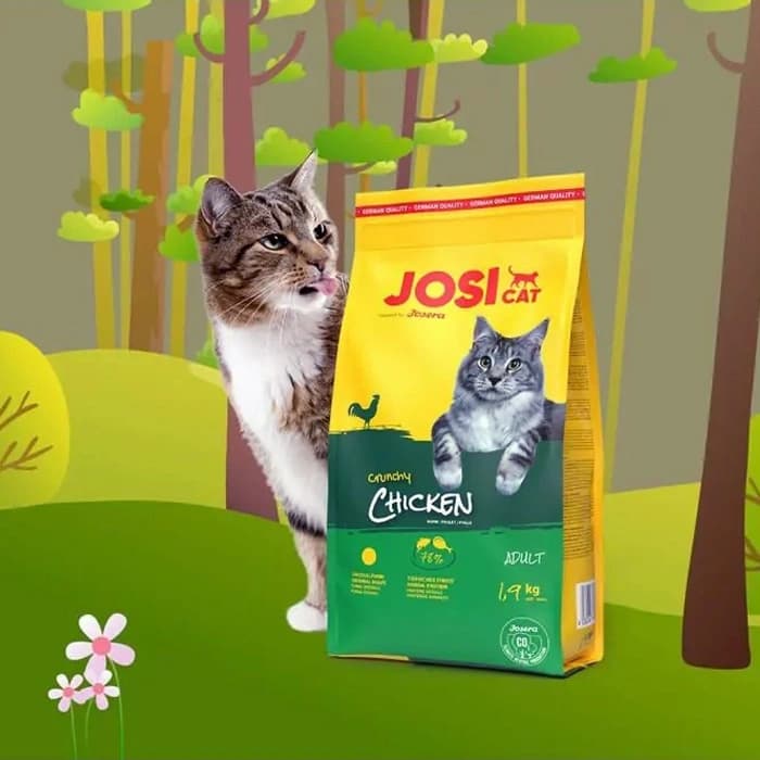 غذای خشک گربه بالغ جوسی کت طعم مرغ وزن 1 کیلوگرم (زیپ کیپ فله) JosiCat Adult Chicken — تصویر ۲