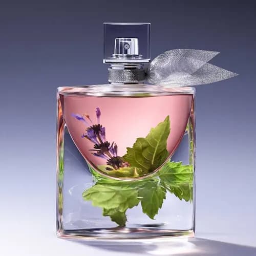 اسانس عطر لانکوم لا ویه است بله(Lancome La Vie Est Belle)|زنانه — تصویر ۳