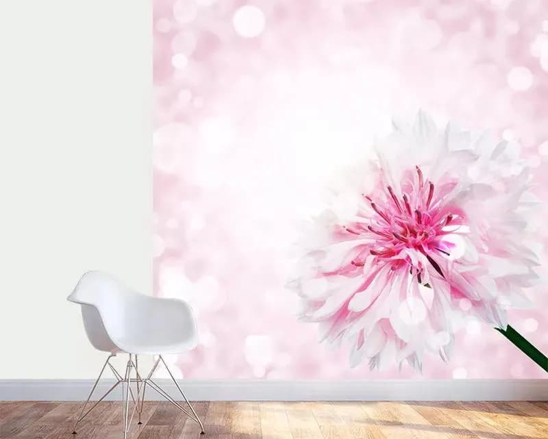 پوستر کاغذ دیواری گل میخک