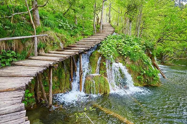 کاغذ دیواری راه چوبی و آبشار