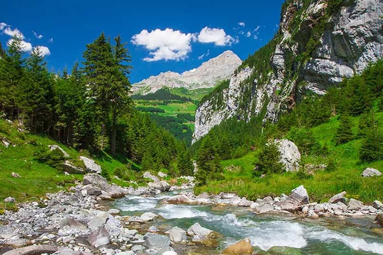 پوستر کاغذ دیواری رودخانه سنگی