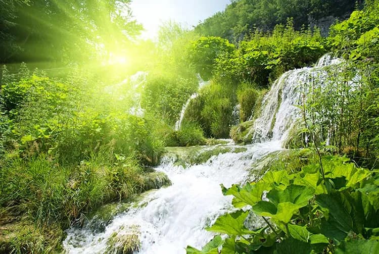 کاغذ دیواری سه بعدی جنگل و رودخانه — تصویر ۲