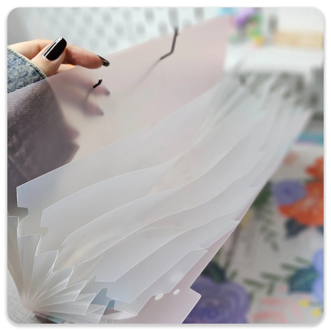 پوشه کش دارطبیعت — تصویر ۴