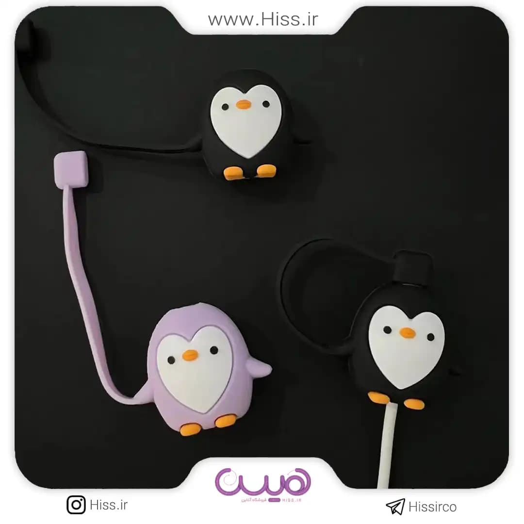 محافظ کابل پنگوئنی