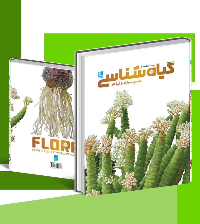 دایره المعارف مصور گیاه شناسی — تصویر ۴