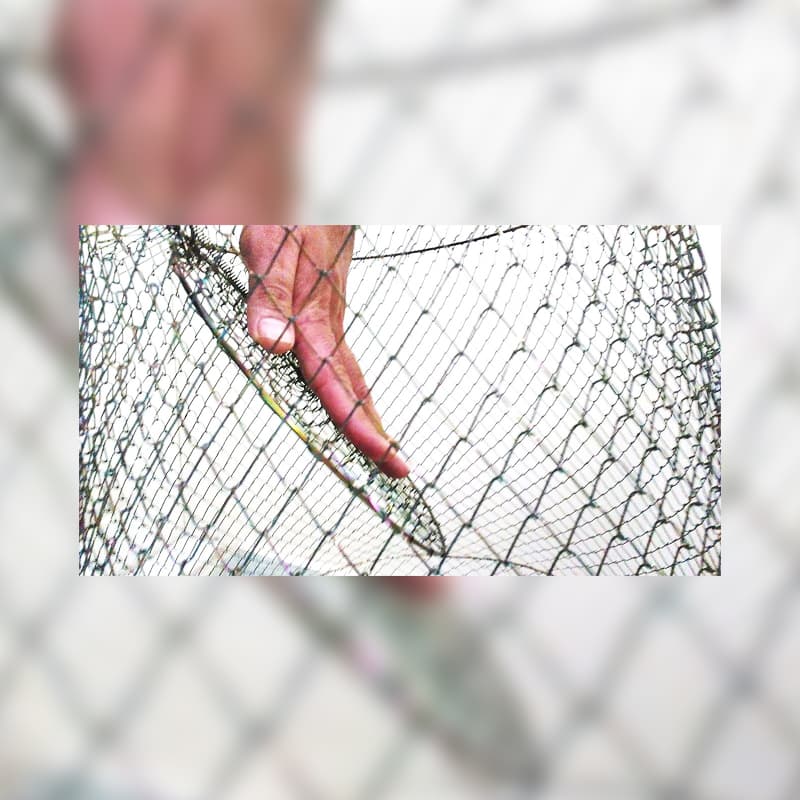 سبد زنده نگه دار فلزی سایز بزرگ XL — تصویر ۲