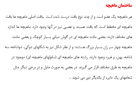 تحقیق درباره انواع ماهیچه بدن انسان — تصویر ۳