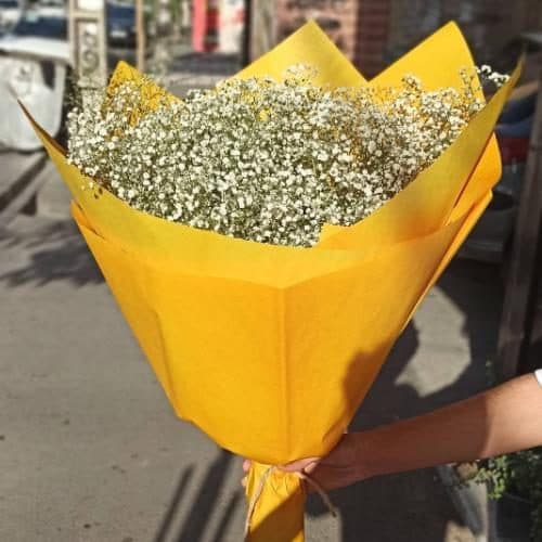 ارسال فوری گل برای دانشگاه تهران 8641