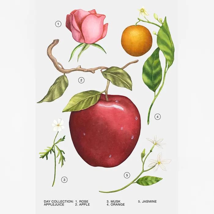 عطر زارا اپل جویس Apple Juice — تصویر ۳