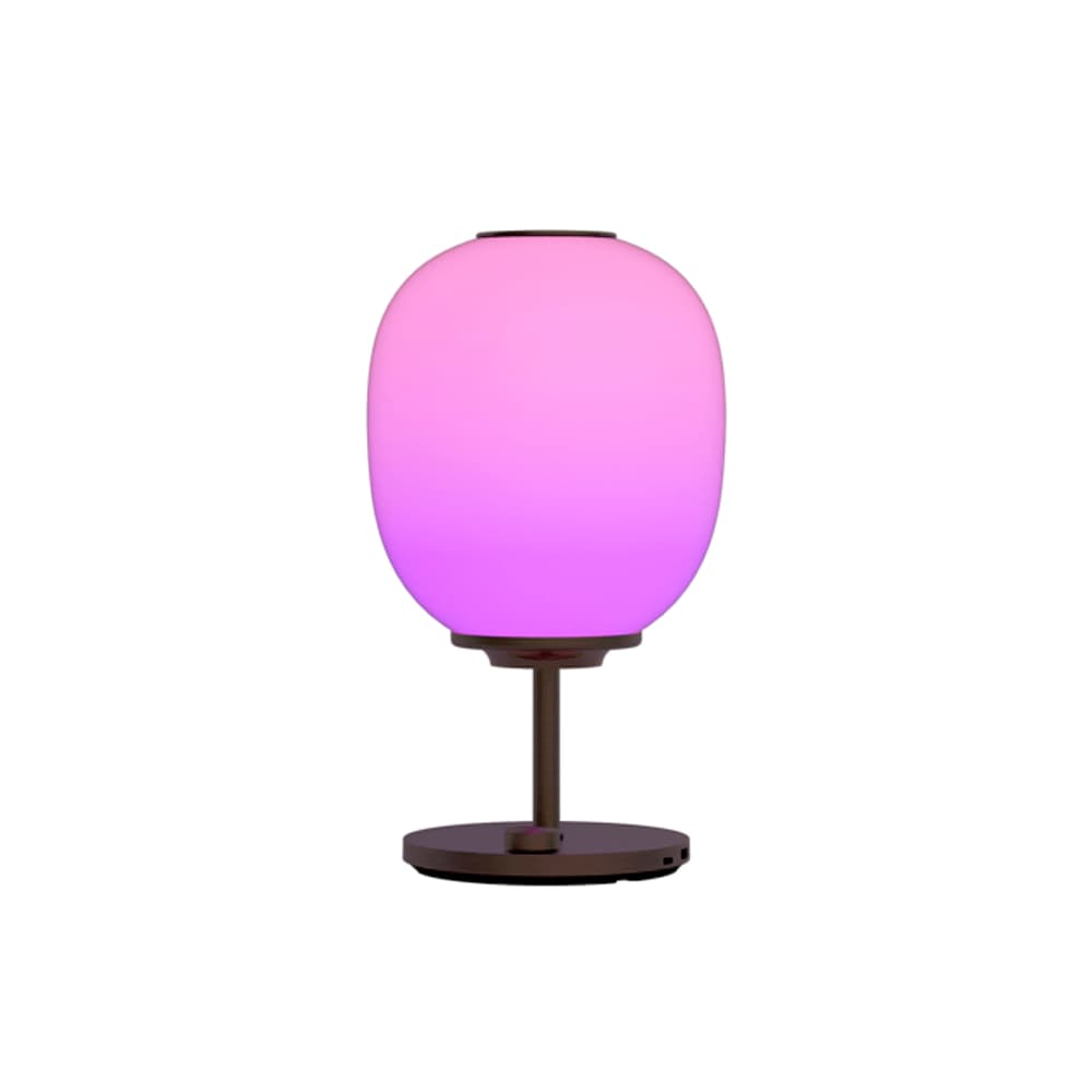 چراغ خواب اسپيکر دار جی دبلیو مدل Season Atmosphere bluetooth speaker Aroma table lamp JW 2201 — تصویر ۸