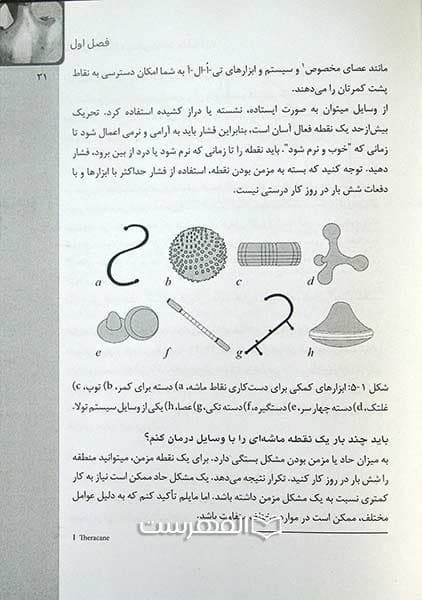 آناتومی ماساژ درمانی — تصویر ۳