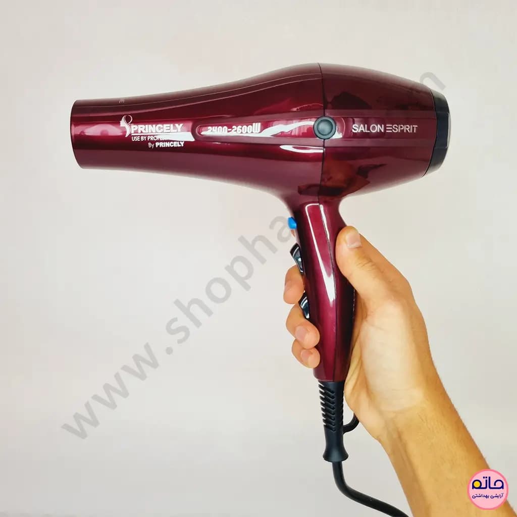 سشوار حرفه ای پرنسلی 2600-2400 وات PR250AT — تصویر ۸