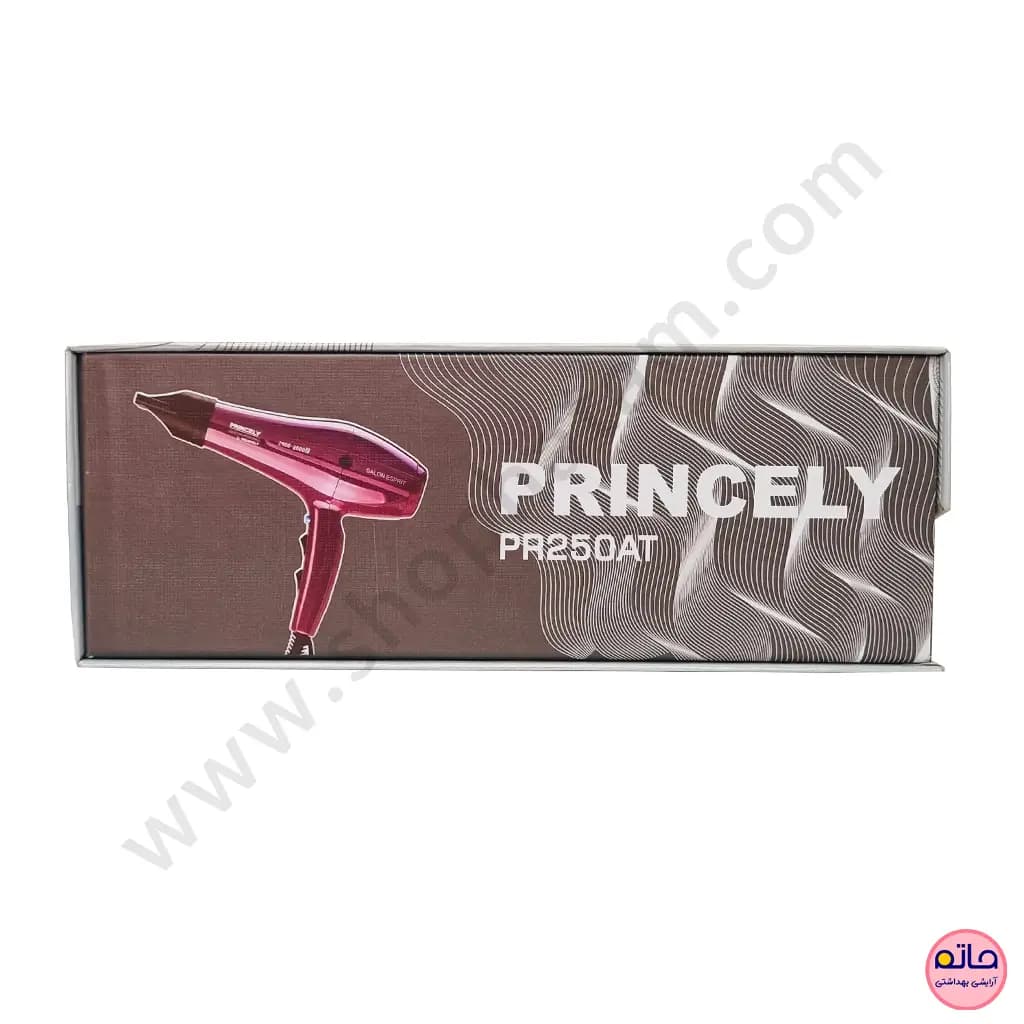سشوار حرفه ای پرنسلی 2600-2400 وات PR250AT — تصویر ۴