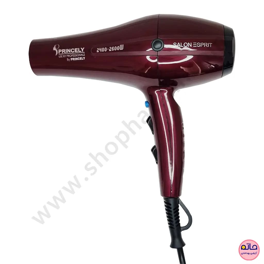 سشوار حرفه ای پرنسلی 2600-2400 وات PR250AT — تصویر ۲