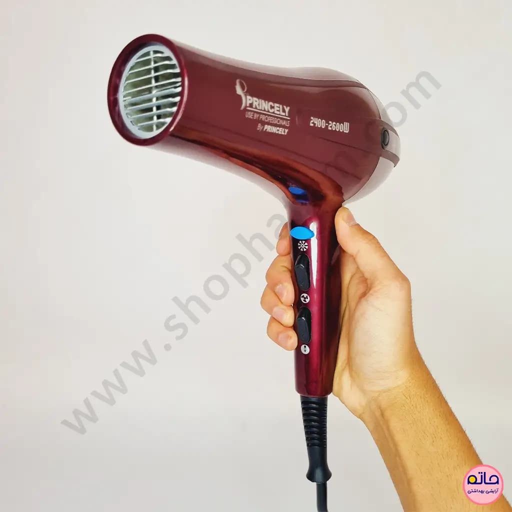 سشوار حرفه ای پرنسلی 2600-2400 وات PR250AT — تصویر ۹