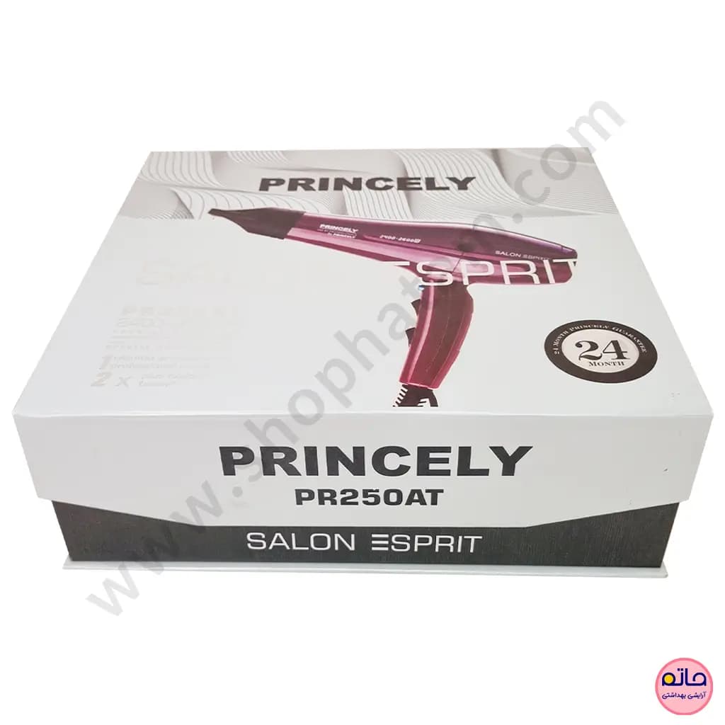 سشوار حرفه ای پرنسلی 2600-2400 وات PR250AT — تصویر ۵