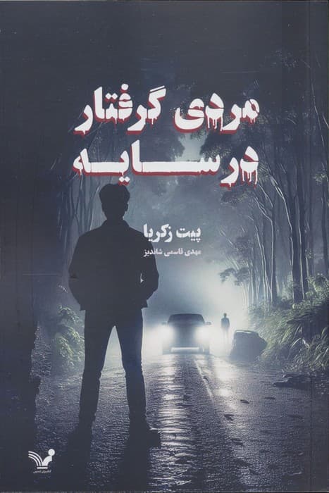 مردی گرفتار در سایه | پیت زکریا | انتشارات تندیس