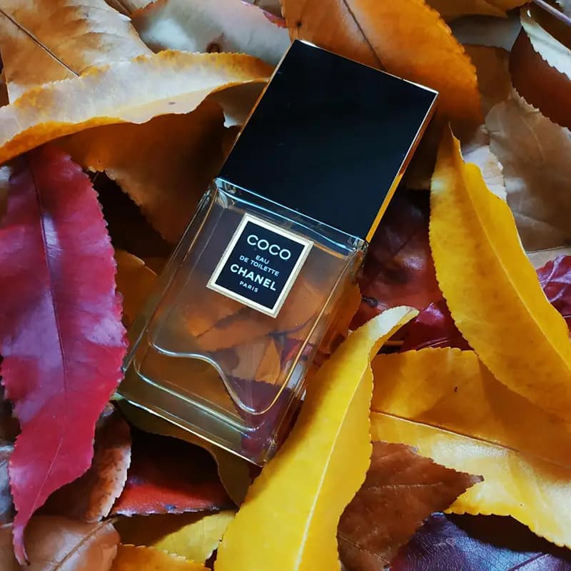 CHANEL Coco EDT — تصویر ۵