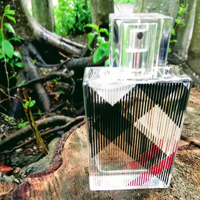 BURBERRY Brit for Women — تصویر ۶
