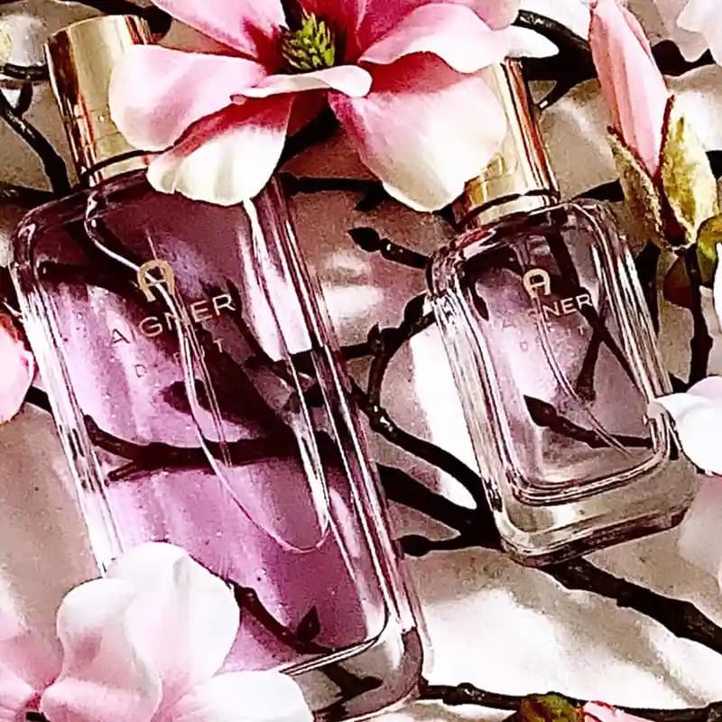 AIGNER Debut — تصویر ۲